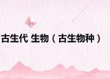 古生代 生物（古生物種）