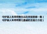 守護(hù)麗人朱琦琦黃在遠(yuǎn)在賓館里哪一集（守護(hù)麗人朱琦琦第幾集被趕走簡介介紹）