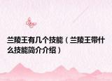 蘭陵王有幾個(gè)技能（蘭陵王帶什么技能簡(jiǎn)介介紹）