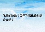 飛雪的比喻（關于飛雪比喻句簡介介紹）