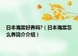 日本海棠好養(yǎng)嗎?（日本海棠怎么養(yǎng)簡(jiǎn)介介紹）