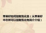 蘋果籽如何提取氰化氫（從蘋果籽中怎樣可以提取氰化物簡介介紹）