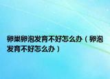卵巢卵泡發(fā)育不好怎么辦（卵泡發(fā)育不好怎么辦）