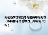 我們還學(xué)過哪些詠梅的詩句寫兩句（詠梅的詩句 你學(xué)過幾句呢簡介介紹）