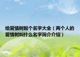 給愛(ài)情樹(shù)起個(gè)名字大全（兩個(gè)人的愛(ài)情樹(shù)叫什么名字簡(jiǎn)介介紹）