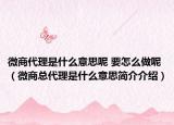 微商代理是什么意思呢 要怎么做呢（微商總代理是什么意思簡介介紹）