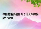磁極的性質(zhì)是什么（什么叫磁極簡介介紹）