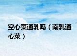 空心菜通乳嗎（南乳通心菜）