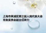 上海市黃浦區(qū)第三屆人民代表大會(huì)常務(wù)委員會(huì)副主任蔡力
