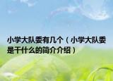 小學(xué)大隊(duì)委有幾個(gè)（小學(xué)大隊(duì)委是干什么的簡(jiǎn)介介紹）