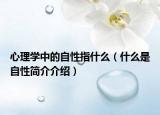 心理學(xué)中的自性指什么（什么是自性簡介介紹）