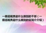一級巡視員是什么級別的干部（一級巡視員是什么級別的官簡介介紹）