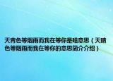天青色等煙雨而我在等你是啥意思（天晴色等煙雨而我在等你的意思簡介介紹）