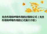 光合作用和呼吸作用的過程和公式（光合作用和呼吸作用的公式簡介介紹）