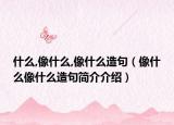 什么,像什么,像什么造句（像什么像什么造句簡(jiǎn)介介紹）
