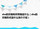 she的賓格和所有格是什么（she的賓格形式是什么簡介介紹）