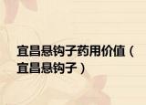 宜昌懸鉤子藥用價值（宜昌懸鉤子）