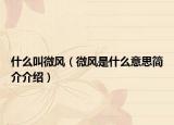 什么叫微風(fēng)（微風(fēng)是什么意思簡介介紹）