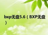 bxp無(wú)盤(pán)5.6（BXP無(wú)盤(pán)）