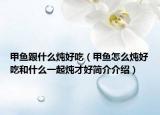 甲魚跟什么燉好吃（甲魚怎么燉好吃和什么一起燉才好簡介介紹）