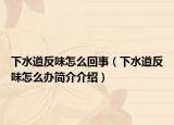 下水道反味怎么回事（下水道反味怎么辦簡(jiǎn)介介紹）