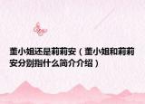 董小姐還是莉莉安（董小姐和莉莉安分別指什么簡(jiǎn)介介紹）