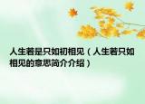 人生若是只如初相見（人生若只如相見的意思簡介介紹）