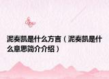 泥奏凱是什么方言（泥奏凱是什么意思簡介介紹）