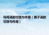 烏雞湯的功效與作用（鴿子湯的功效與作用）