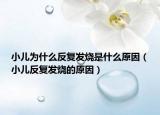 小兒為什么反復發(fā)燒是什么原因（小兒反復發(fā)燒的原因）