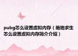 pubg怎么設(shè)置虛擬內(nèi)存（絕地求生怎么設(shè)置虛擬內(nèi)存簡(jiǎn)介介紹）