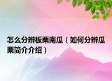 怎么分辨板栗南瓜（如何分辨瓜栗簡介介紹）