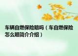 車輛自燃保險賠嗎（車自燃保險怎么賠簡介介紹）