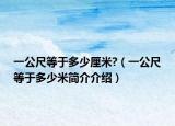 一公尺等于多少厘米?（一公尺等于多少米簡介介紹）