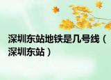 深圳東站地鐵是幾號(hào)線（深圳東站）