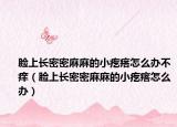 臉上長(zhǎng)密密麻麻的小疙瘩怎么辦不癢（臉上長(zhǎng)密密麻麻的小疙瘩怎么辦）