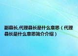 副縣長,代理縣長是什么意思（代理縣長是什么意思簡介介紹）