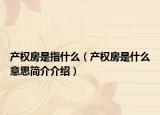 產(chǎn)權(quán)房是指什么（產(chǎn)權(quán)房是什么意思簡介介紹）