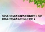 形容高興的詞語有哪些詞語有哪些（形容非常高興的詞語有什么簡(jiǎn)介介紹）