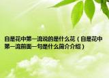 自是花中第一流說(shuō)的是什么花（自是花中第一流前面一句是什么簡(jiǎn)介介紹）