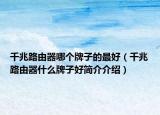 千兆路由器哪個(gè)牌子的最好（千兆路由器什么牌子好簡(jiǎn)介介紹）