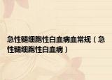 急性髓細胞性白血病血常規(guī)（急性髓細胞性白血病）