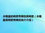 水瓶座的明星有哪些男明星（水瓶座男明星有哪些簡介介紹）