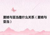 夏娃與亞當是什么關系（夏娃與亞當）