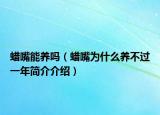 蠟嘴能養(yǎng)嗎（蠟嘴為什么養(yǎng)不過一年簡介介紹）