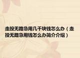 走投無路急用幾千塊錢怎么辦（走投無路急用錢怎么辦簡介介紹）