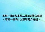 本科一批b和本科二批b是什么意思（本科一批B什么意思簡介介紹）