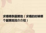 求婚哪條腿跪地（求婚的時候哪個腿跪地簡介介紹）