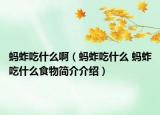 螞蚱吃什么?。ㄎ涷瞥允裁?螞蚱吃什么食物簡介介紹）