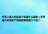 世界上最大的亞麻產(chǎn)地是什么國(guó)家（世界最大的亞麻產(chǎn)地國(guó)是哪里簡(jiǎn)介介紹）